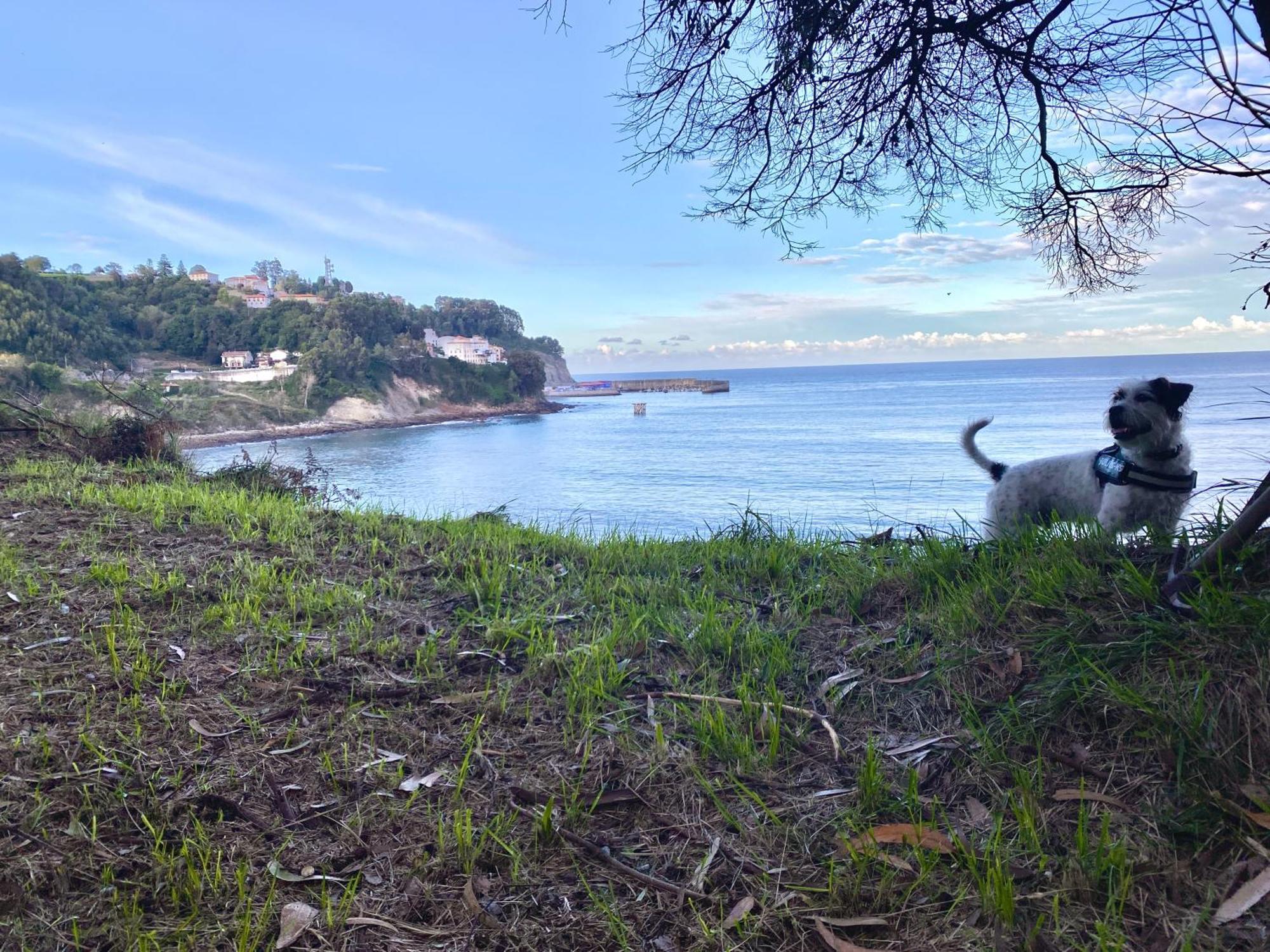 El Apartamentin De Lastres Luaran gambar